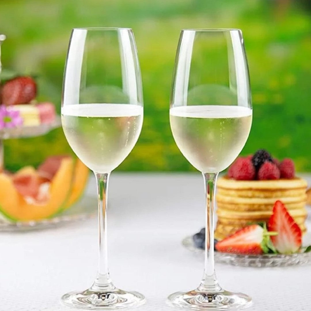 Vivino Crystal Vivino Champagne (Set of 4)