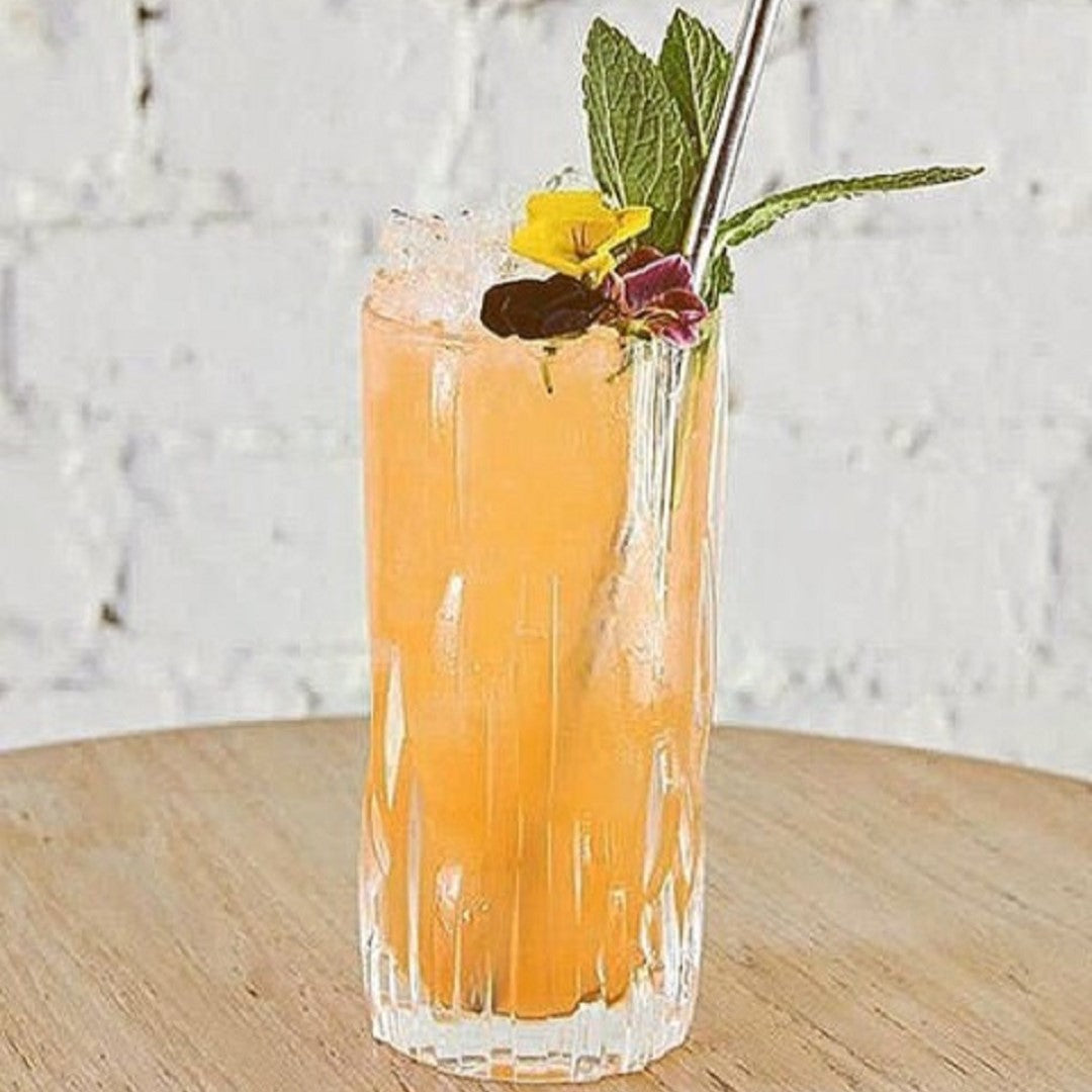 SHU FA Long Drink Tumbler Set of 4