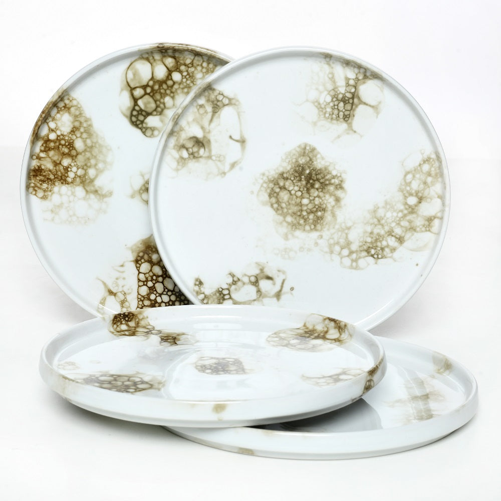 Tablejoy Edged Dinner Plate Set'4 Olv