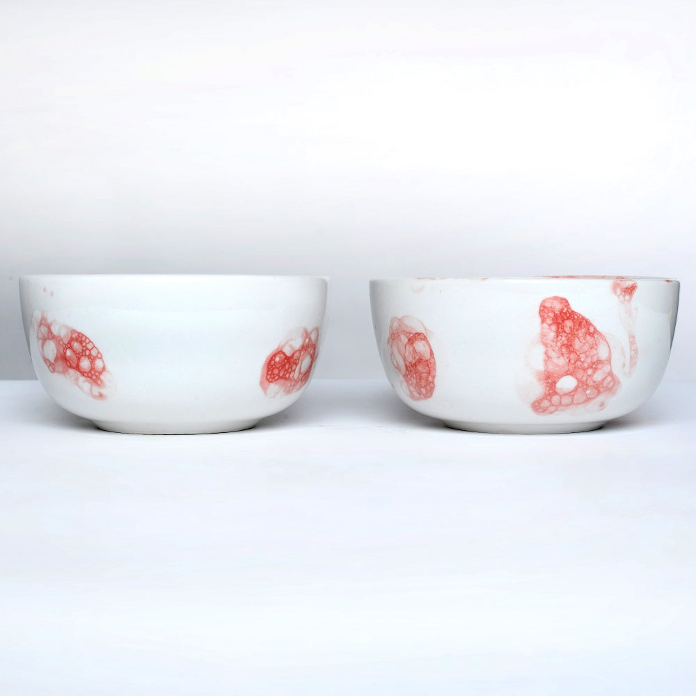 Tablejoy Maggi Bowl Set'2 Red