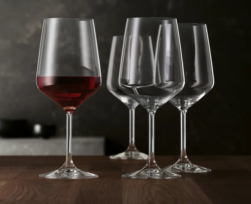 NACHTMANN By SPIEGELAU Style Red Wine Glass SET 4