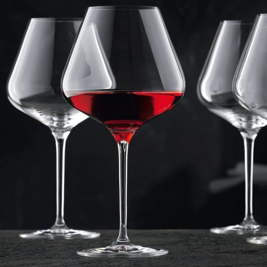 Nachtmann Vinova Redwine Ballon Glass Set'4