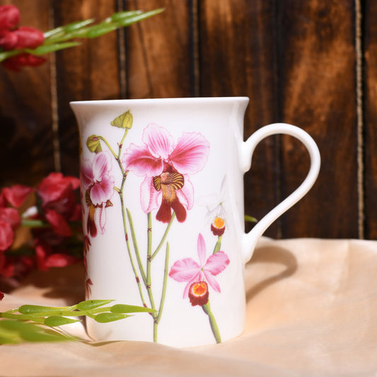 STECHOL PURE JASMINE Set of 2