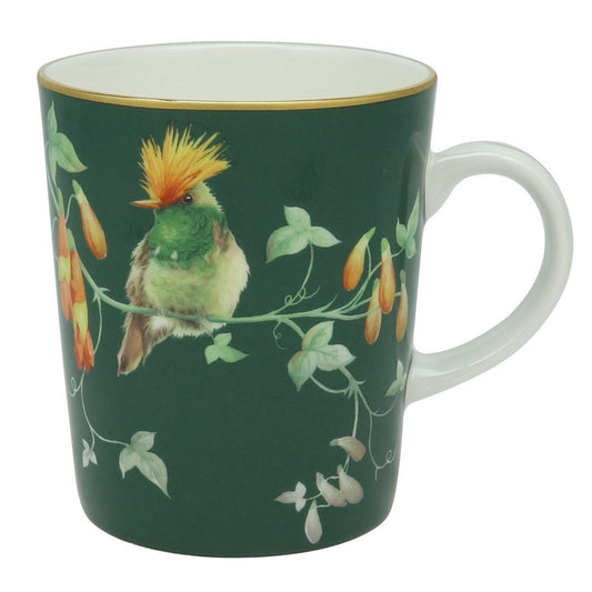 Stechcol Hummingbird in Green