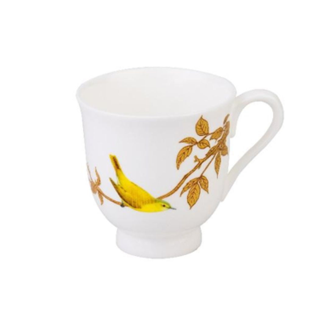 STECHCOL TEA MUG QUETZAL BIRD CLEAR SET 4