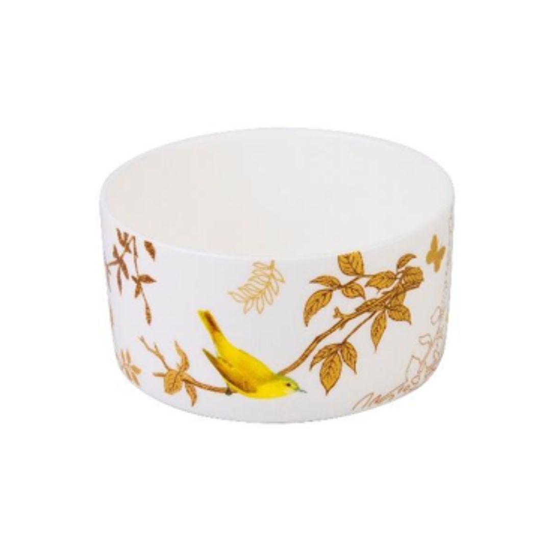 STECHCOL SNACK BOWL QUETZAL BIRD CLEAR SET 2