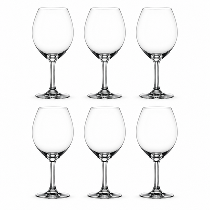 Nachtmann SALUTE BURGUNDY Wine Glass, Set of 6