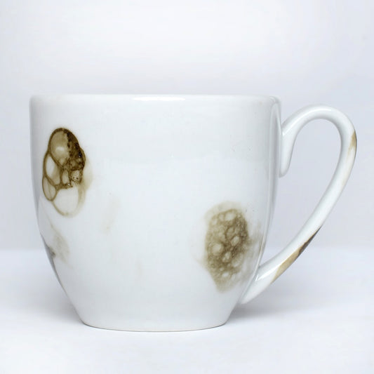 Tablejoy Cups & Saucer Set Set'12 Olv