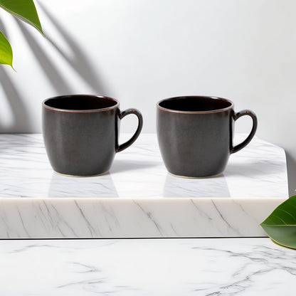 Mesa Brown Metallic 2Cup & 2Saucer Set of 4