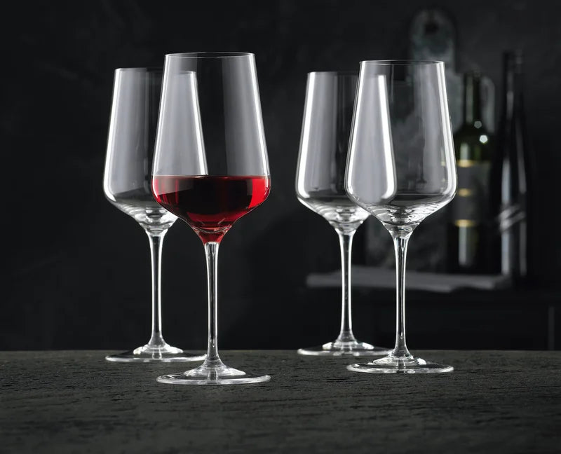 NACHTMANN Vinova Red Wine Glass SET 4