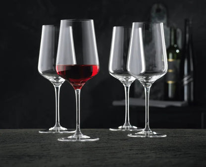 NACHTMANN Vinova Red Wine Glass SET 4